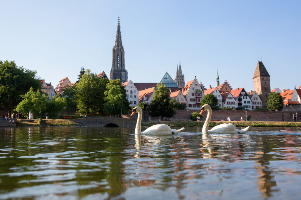 Ulm River View