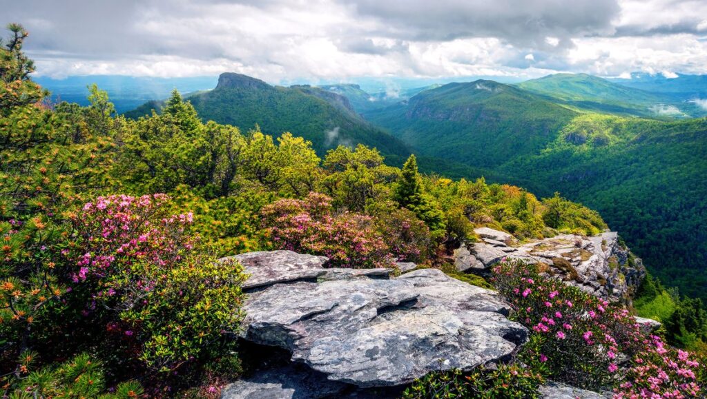 overlooking the blue ridge mountains